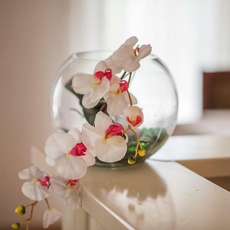 Beljan Apartments Đảo Krk Ngoại thất bức ảnh
